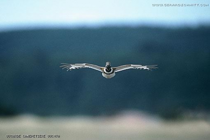 Balade photographique en Crau